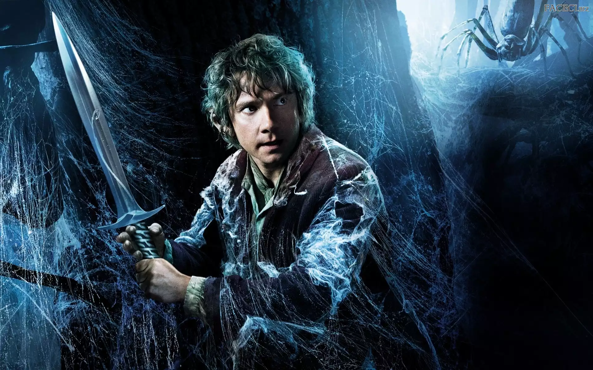 Martin Freeman, Hobbit: Pustkowie Smauga, Pajęczyna, Miecz, The Hobbit: The Desolation of Smaug, Bilbo Baggins